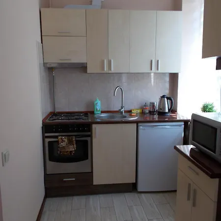 Near The Forum Mall 公寓 利沃夫