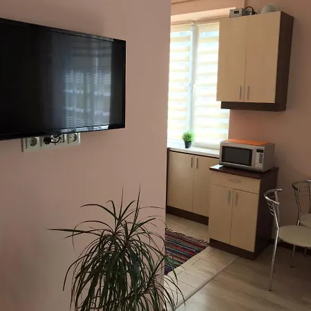 公寓 Near The Forum Mall 利沃夫