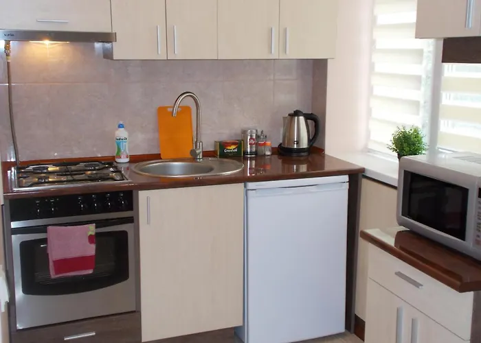 Apartament Near The Forum Mall Lwów